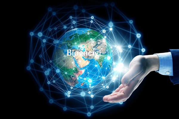 Bioenergi Sebagai Praktek Spiritual Dalam Hidup - bioenegri.co.id