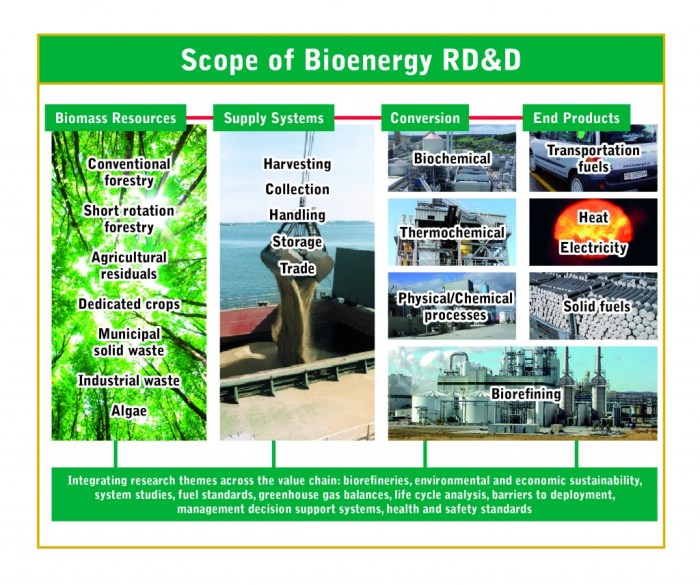 Contoh bioenergi