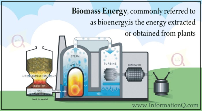 Biomassa dan sistem bioenergi