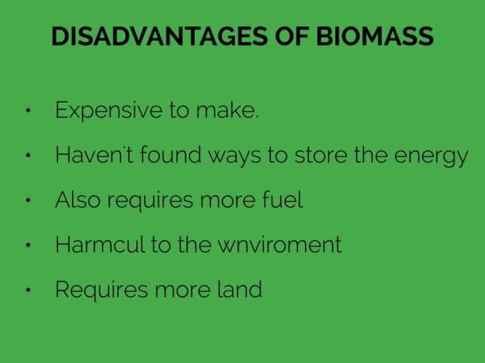 Biomass cons pros power