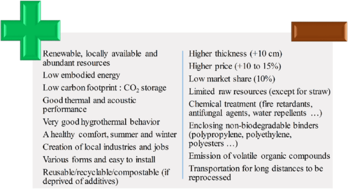 Bioenergi fördelar och nackdelar