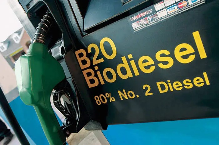 Bioenergi vs biodiesel