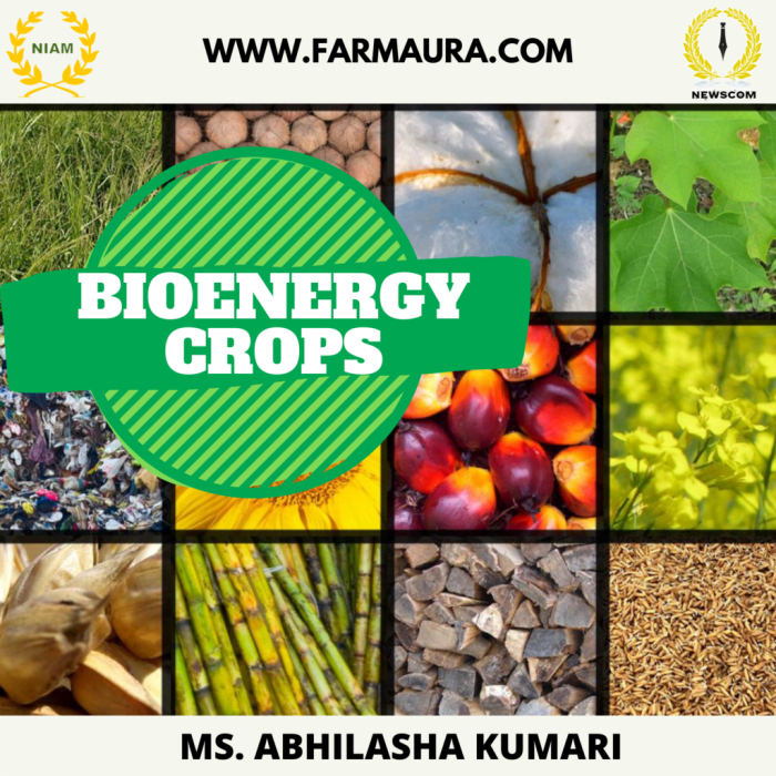 Bioenergy wastes agricultural biomass