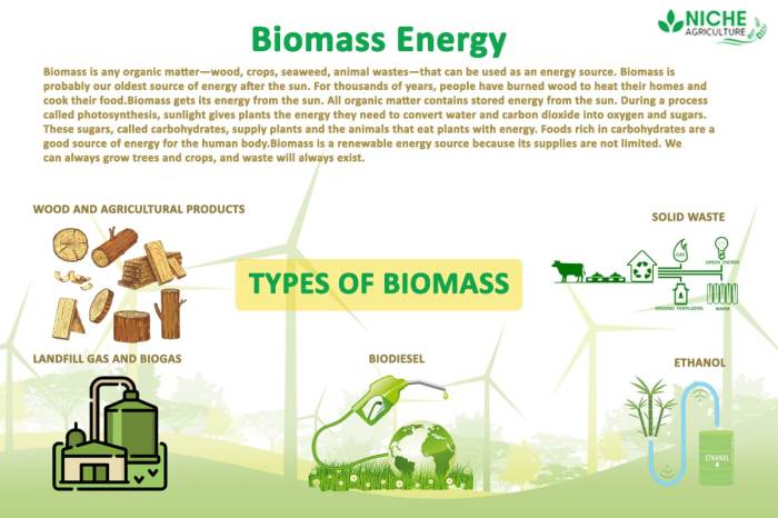 Biomass energy renewable does work alternative