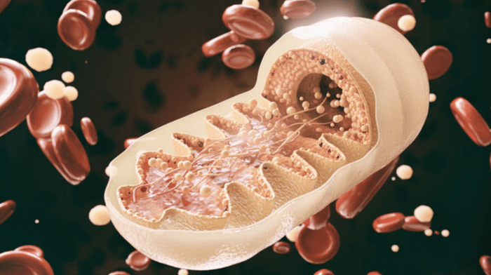 Apa itu ilmu bioenergi