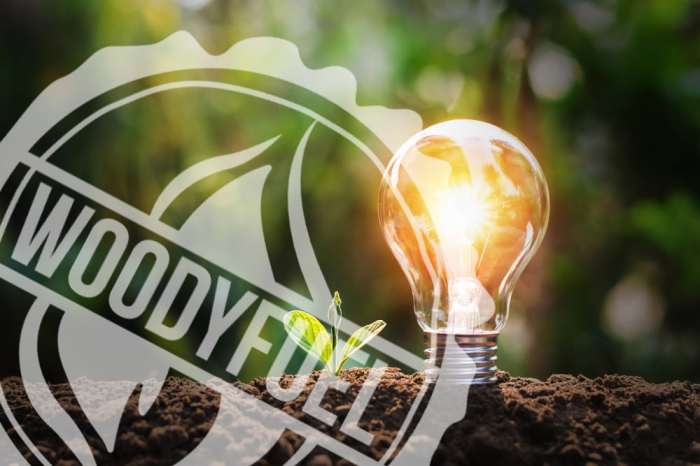 Apa yang dimaksud dengan bioenergi