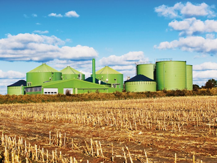 Bioenergy why ebri business