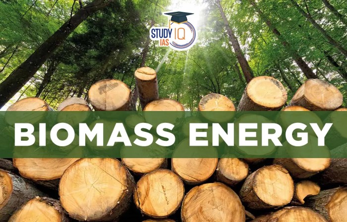 Bioenergy biomass biofuels textbook book energy introductory