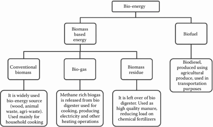 Biomass teachoo fuels dung
