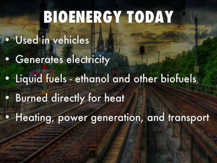 Alasan mengapa menggunakan bioenergi