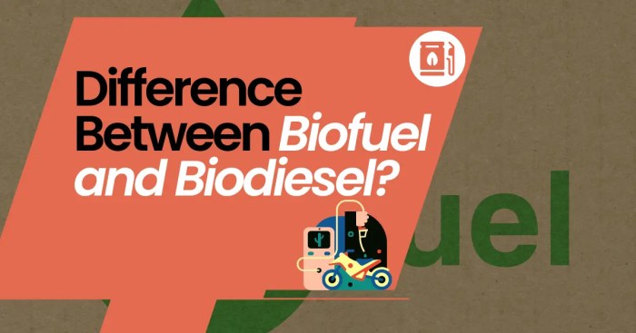 Biofuels fuels fossil issues harvesting resources
