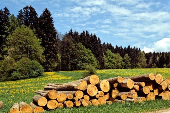 Bioenergy tasks work our objectives defined iea budgets structured well number which time