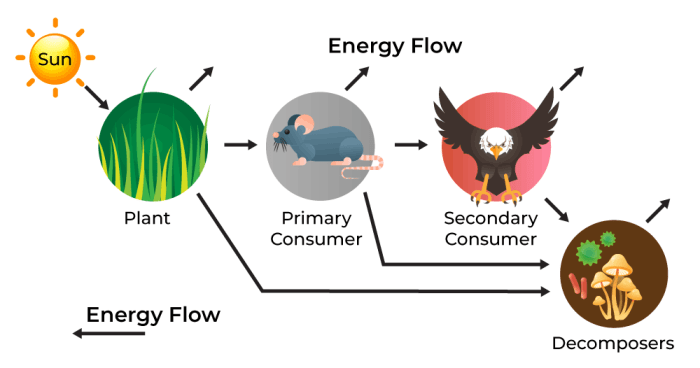 Biomass energy bio power renewable sources cycle diagram solution ecology ca why gas plants extracting requires value any full generation