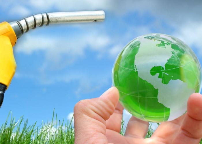 Apakah bioenergi merupakan solusi terbaik