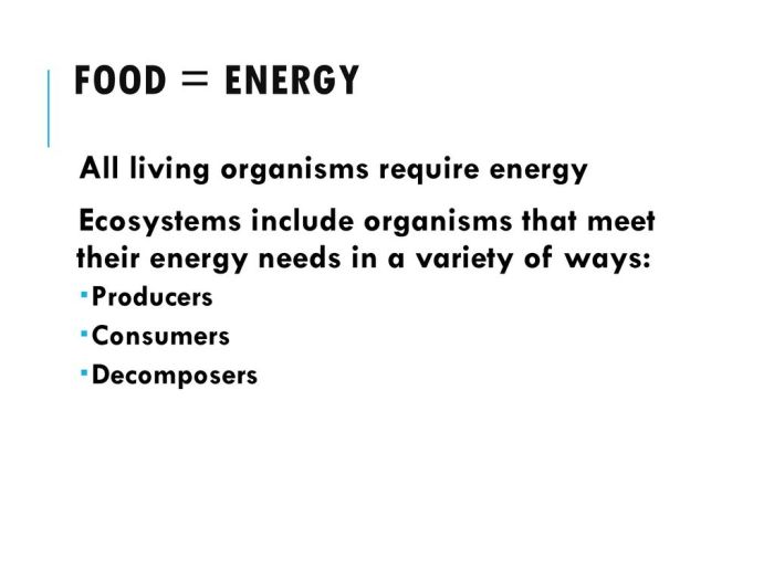 Bioenergi yang dimiliki organisme pada rantai makanan