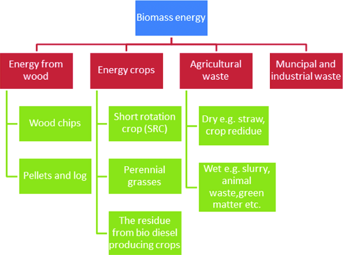 Arus energi dan bioenergi