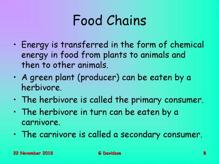 Bioenergi yang dimiliki organisme pada rantai makanan