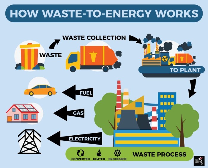 Electricity biomass biomassa energi waste generate produce tanaman berasal biomasa listrik fakta mengagumkan energie ciptakan hutan meti minta biomas costisitoare