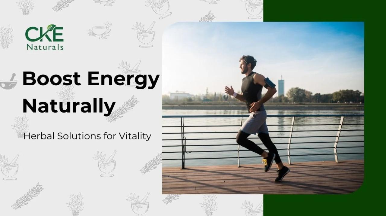 Cara membangkitkan bioenergi