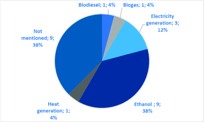 Bioenergy 1st books