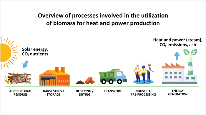 Bioenergy viability