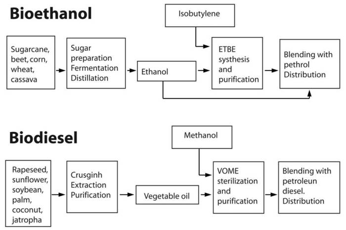 Biodiesel ethanol preservation ecology gasoline biofuel conscious powerful