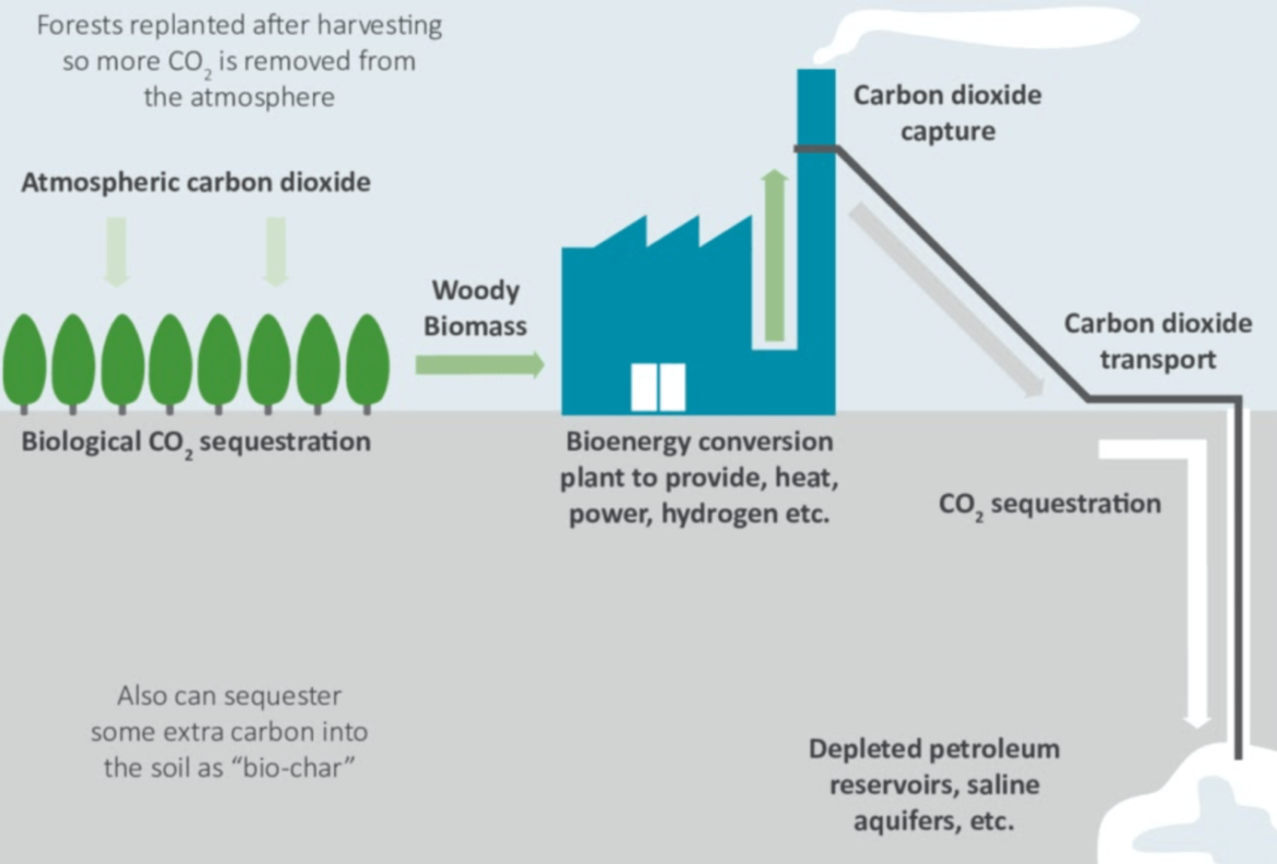 Apa tantangan bioenergi di indonesia