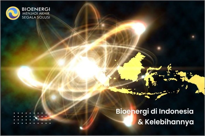 Bioenergi mewujudkan indonesia mandiri energi