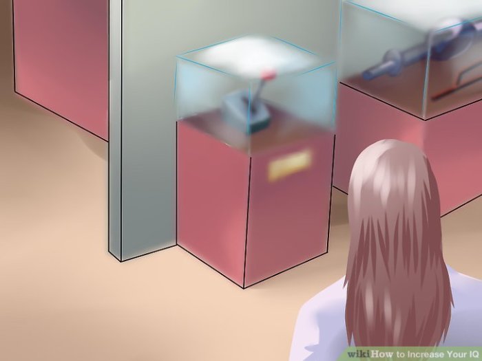 Cara meningkatkan iq dengab bioenergi