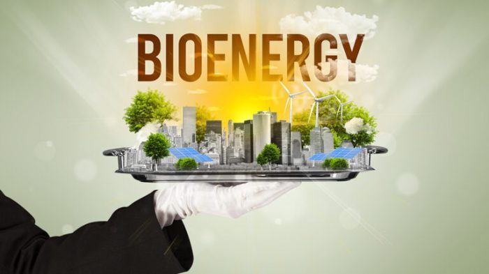 Bioenergi macam jurnal