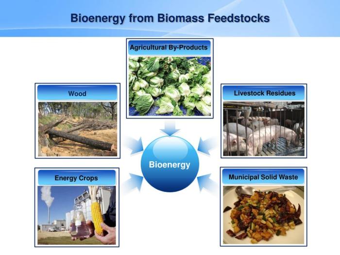 Apa itu bioenergi dalam pertanian