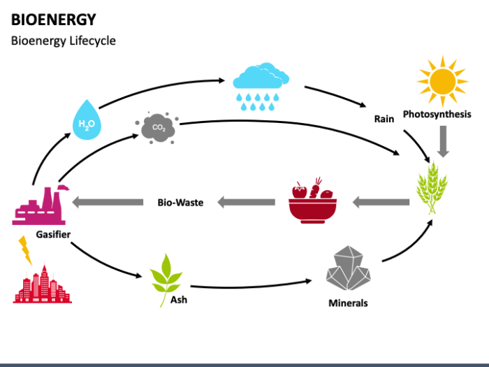 Bioenergy wallpaperaccess beccs