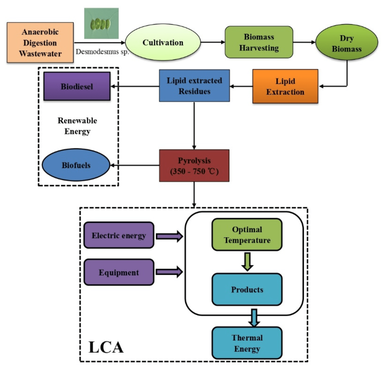 Biogas homebiogas digester digestion organic anaerobic renewable fertilizer compost biomass septic household biodigestor hydroponics