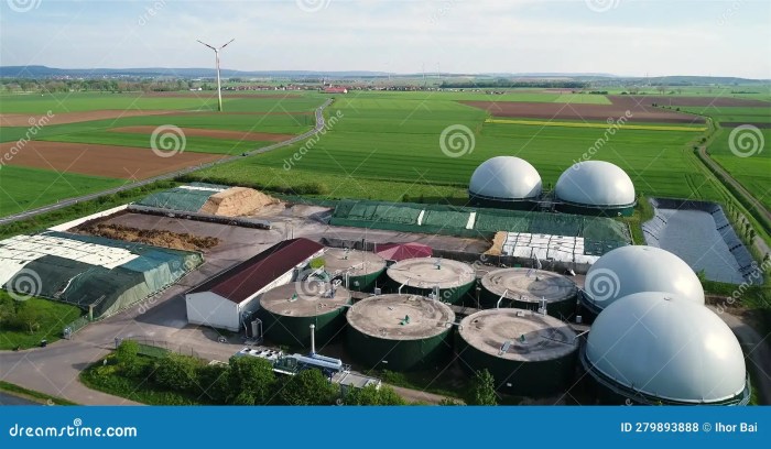 Biofuel algae representation cyclic