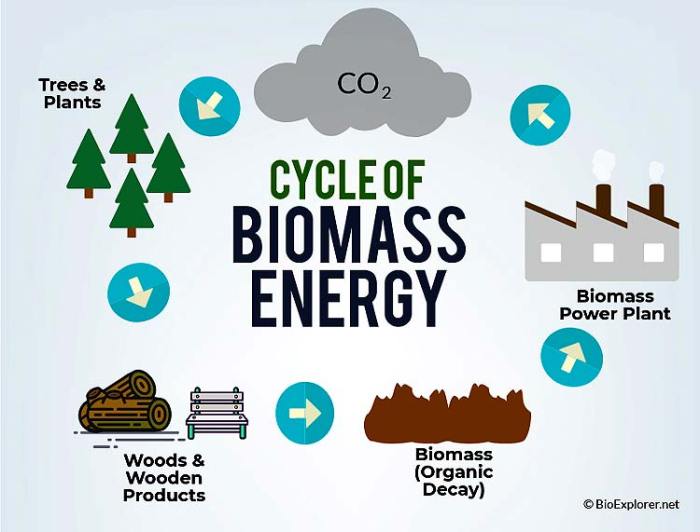 Bioenergy energy