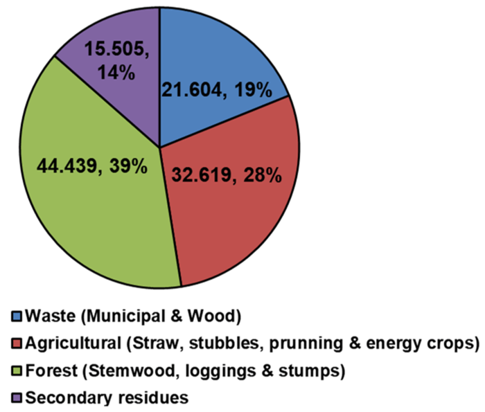 Biomassa untuk bioenergi.pdf