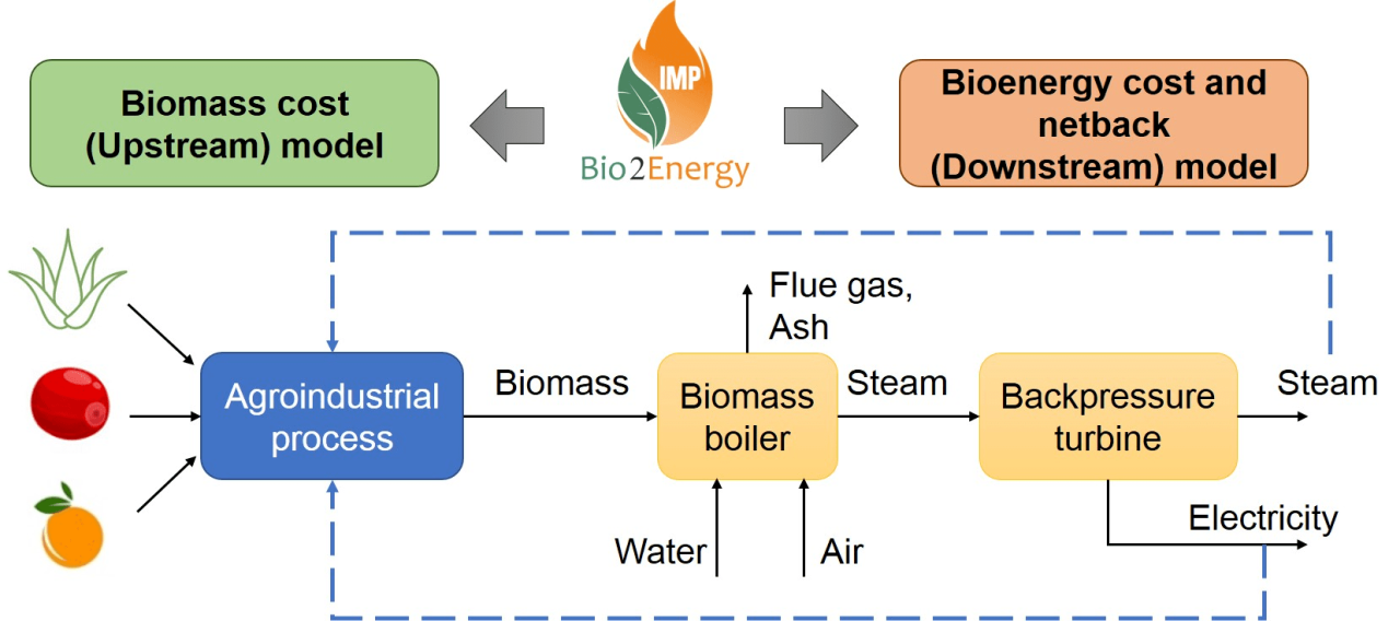 Energetics biological