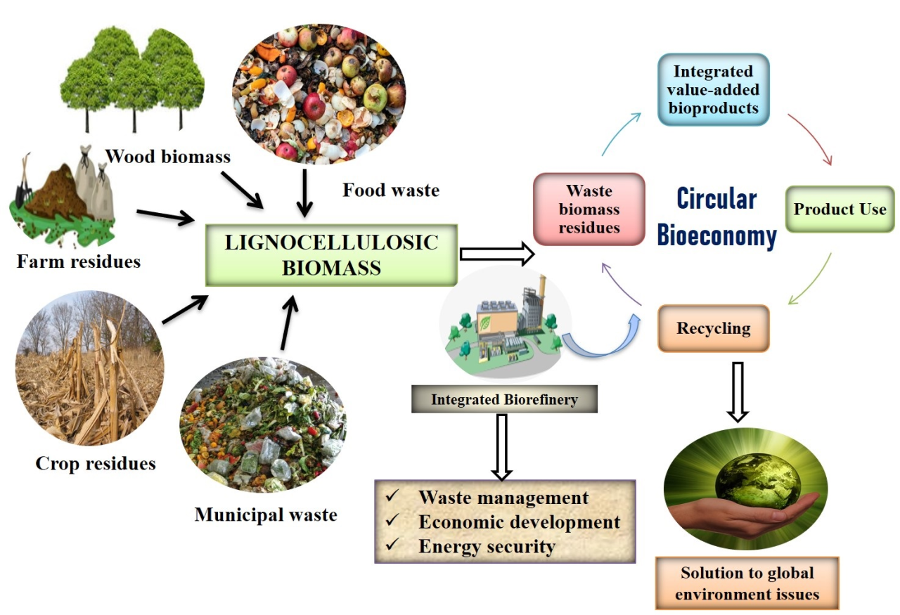 Energy waste renewable wastes converted