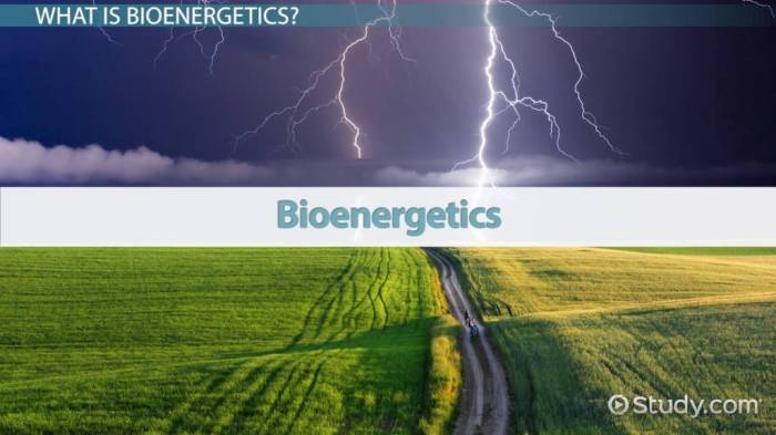 Bioenergetics hardly breakthrough rebuilding pemf nes wrong so