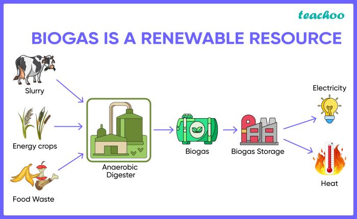 Bioenergy biofuel cycle future resources fuel refueling power energy biofuels sources alternative