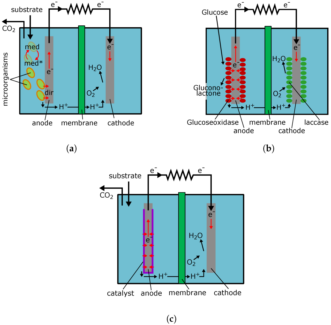 Alat untuk mengubah bioenergi menjadi listrik