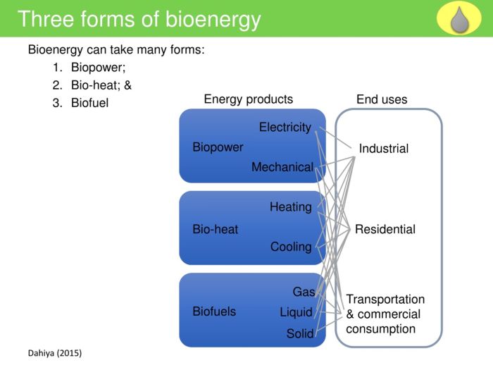 Contoh argumen pengenalan sistem bioenergi pada atlet lari 100m