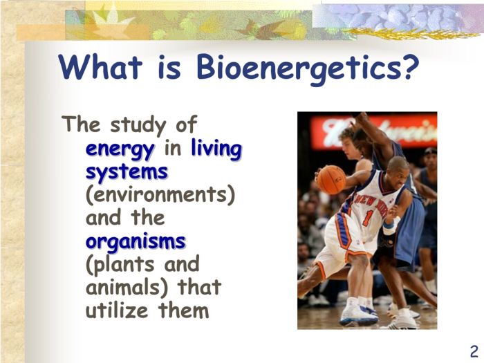 Apa itu ilmu bioenergi