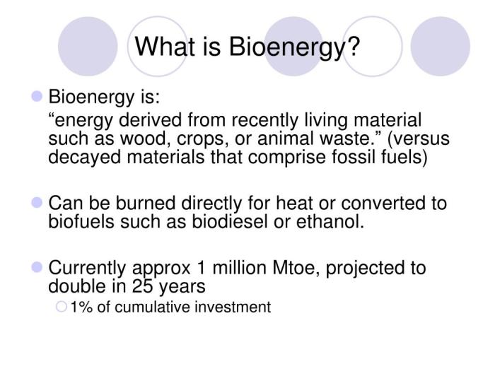 Alasan mengapa menggunakan bioenergi