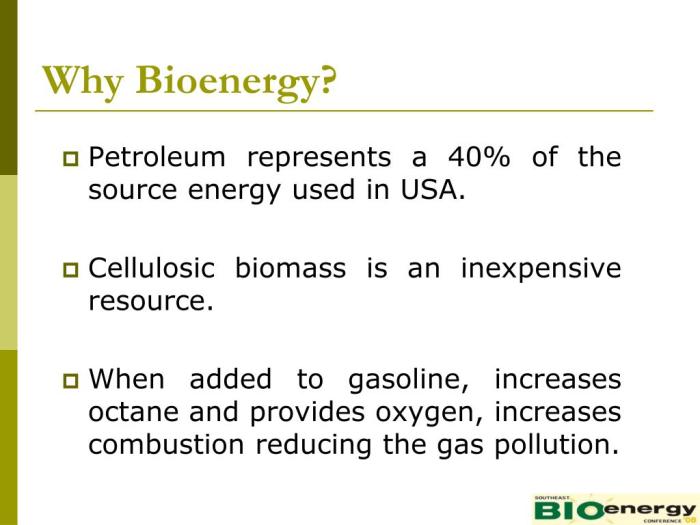 Apa yang dimaksud dengan bioenergi